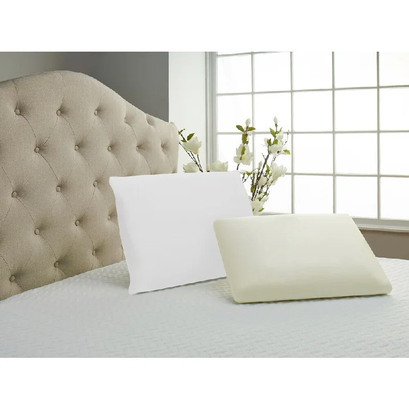 Splendorest Flair Foam Traditional Bed Pillow